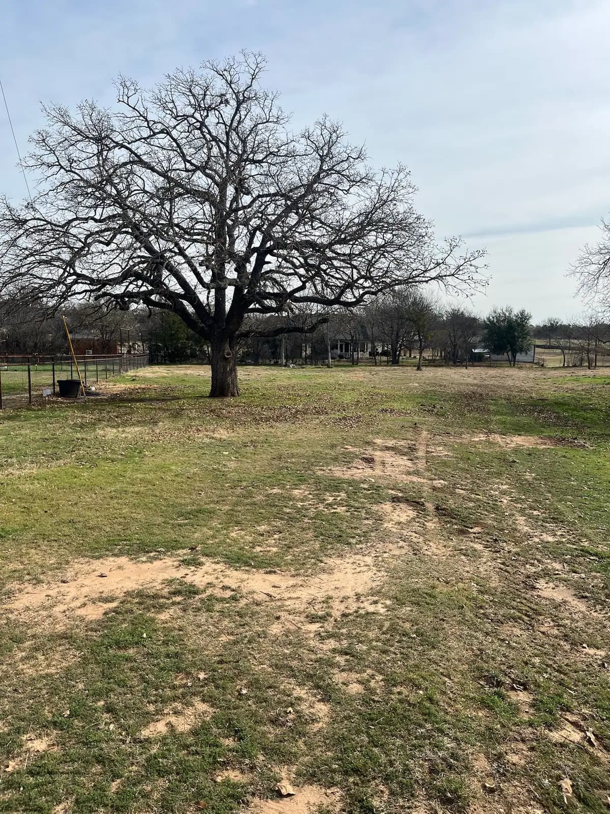 Brush hog mowing along a fence line on a Granbury, TX property
