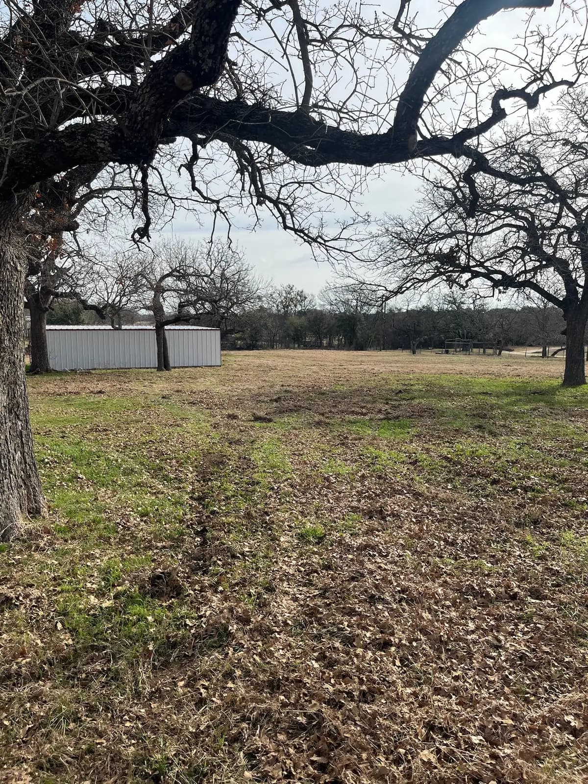 Brush hog mowing along a fence line on a Granbury, TX property