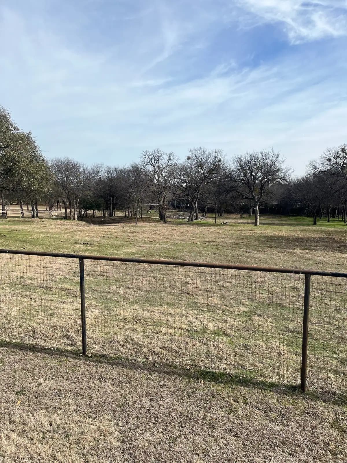 Brush hog mowing along a fence line on a Granbury, TX property