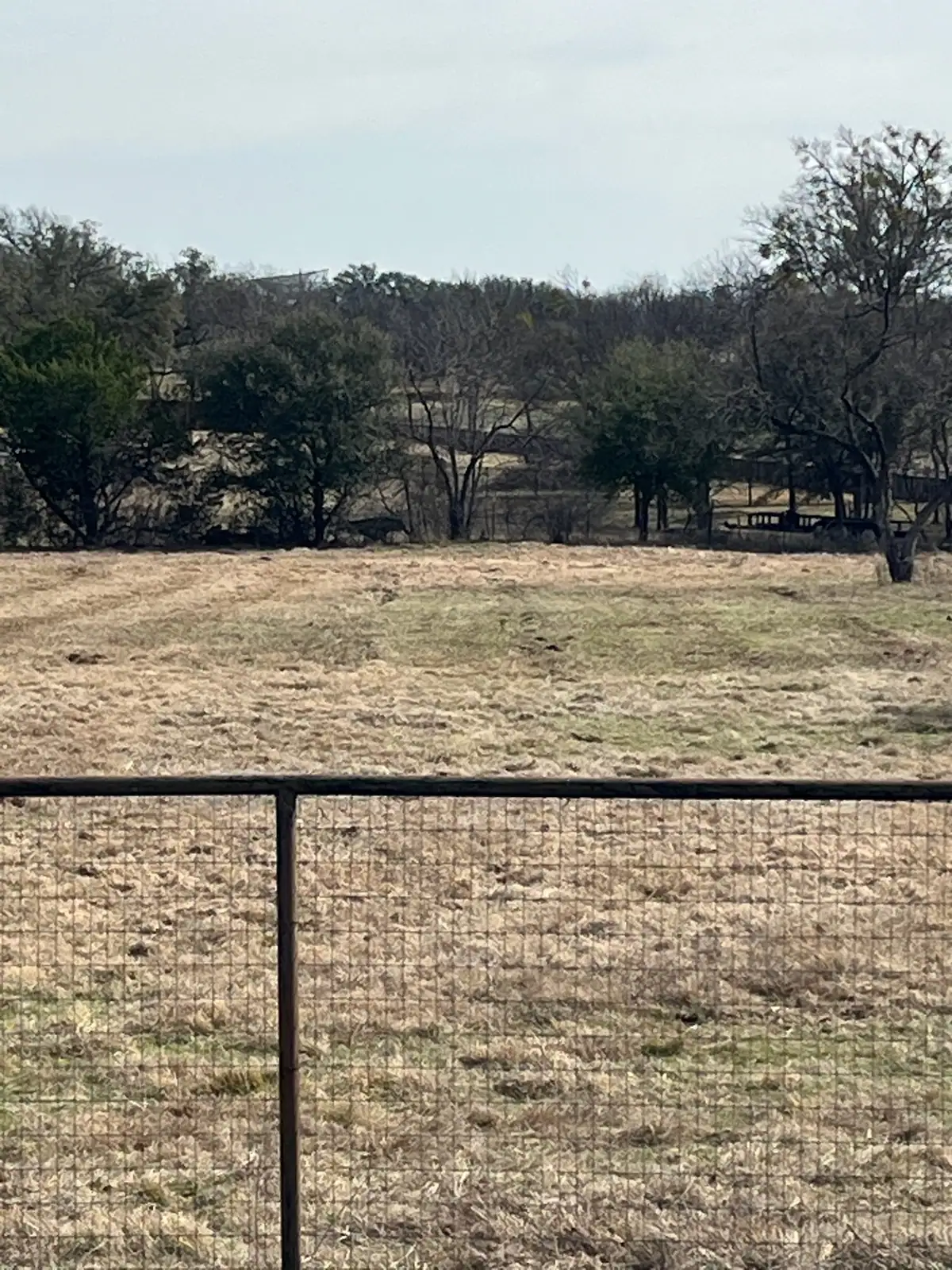 Brush hog mowing along a fence line on a Granbury, TX property