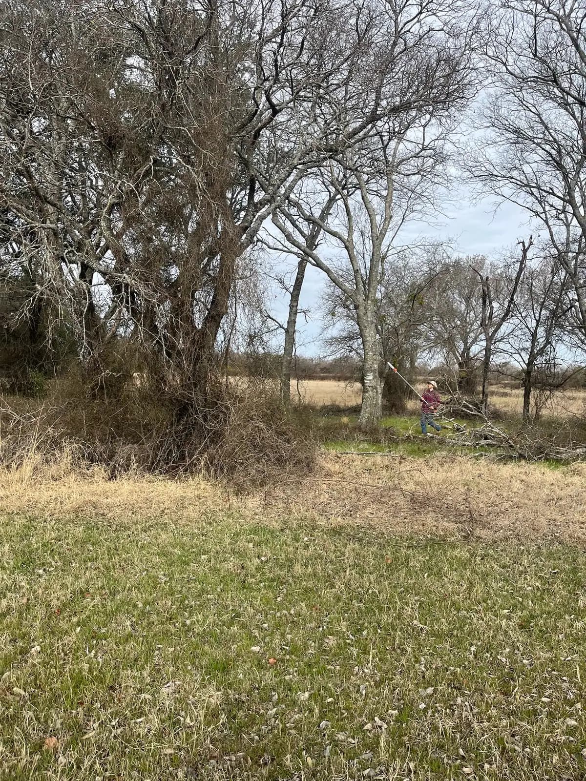 Open field mowed to the tree line by Black Knuckle Land Management near Granbury, TX