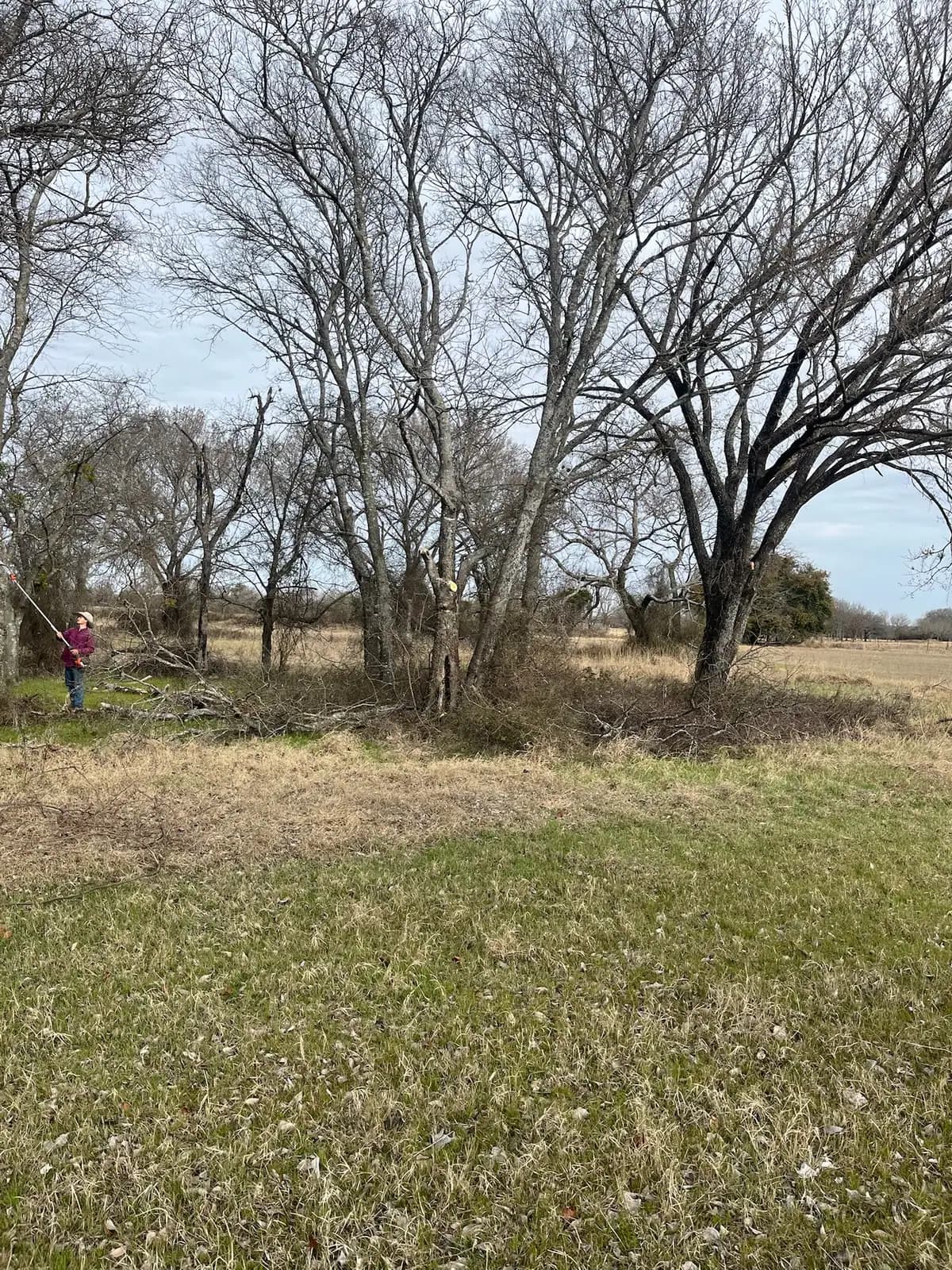 Open field mowed to the tree line by Black Knuckle Land Management near Granbury, TX