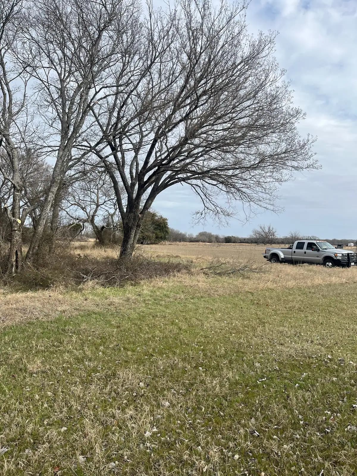Open field mowed to the tree line by Black Knuckle Land Management near Granbury, TX