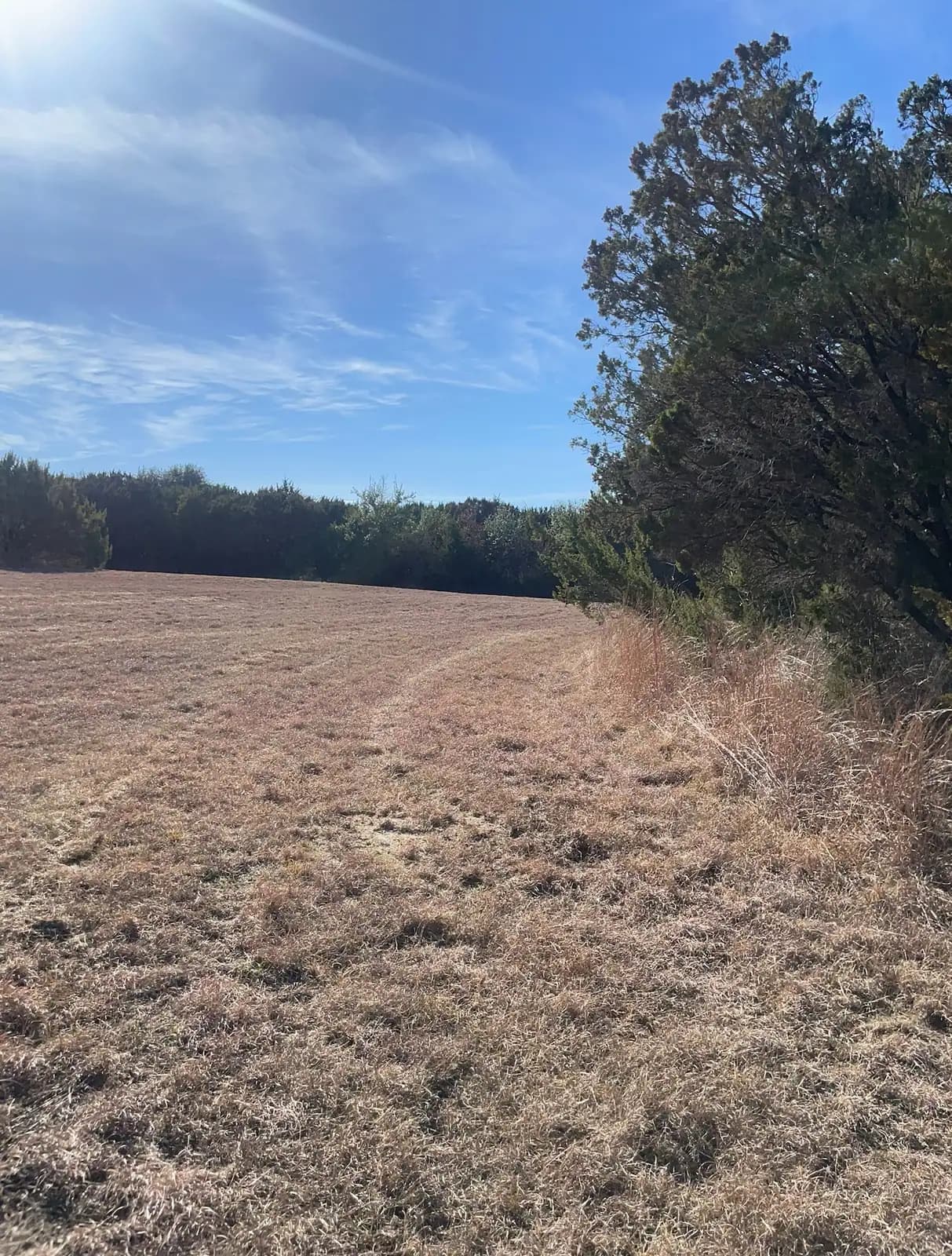 Brush hog mowing finished on an open pasture near Granbury, TX by Black Knuckle Land Management