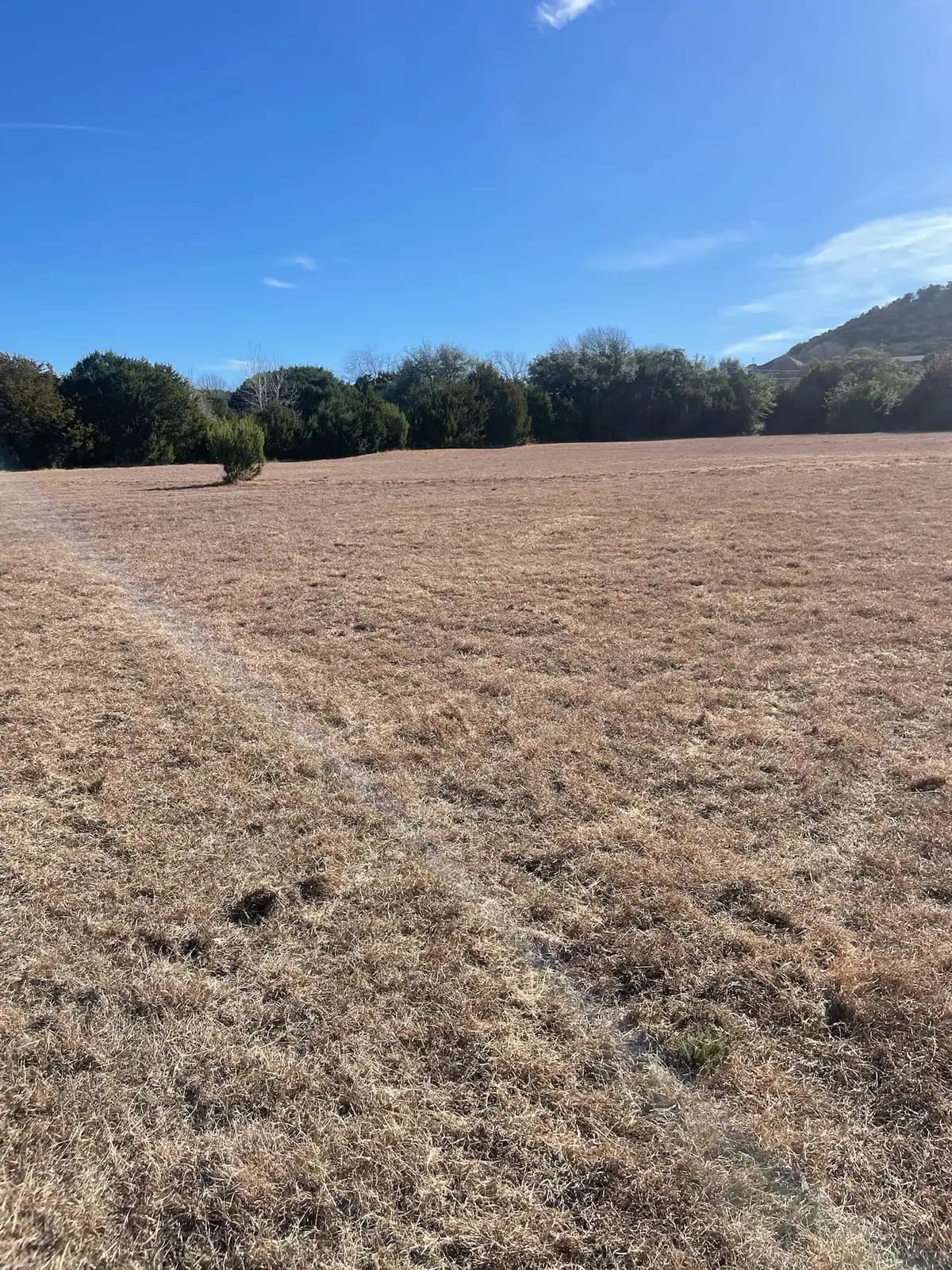 Brush hog mowing finished on an open pasture near Granbury, TX by Black Knuckle Land Management