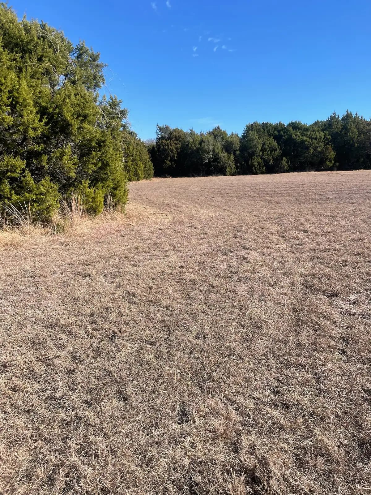 Brush hog mowing finished on an open pasture near Granbury, TX by Black Knuckle Land Management