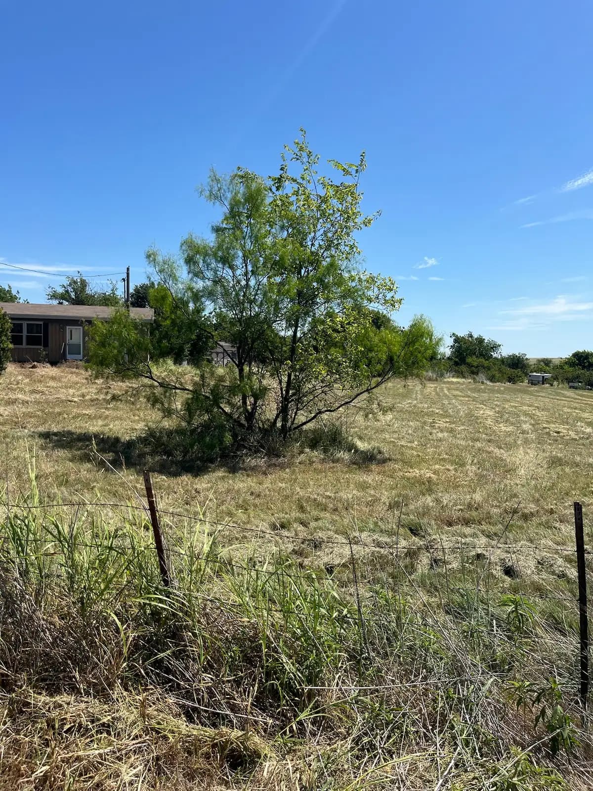 Summer pasture and fence line ready for brush hog mowing in Granbury, TX