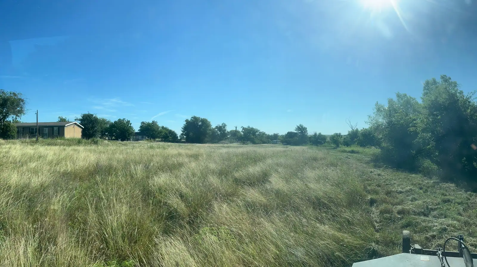 Tall summer grass and weeds before brush hog mowing, seen from the tractor near Granbury, TX