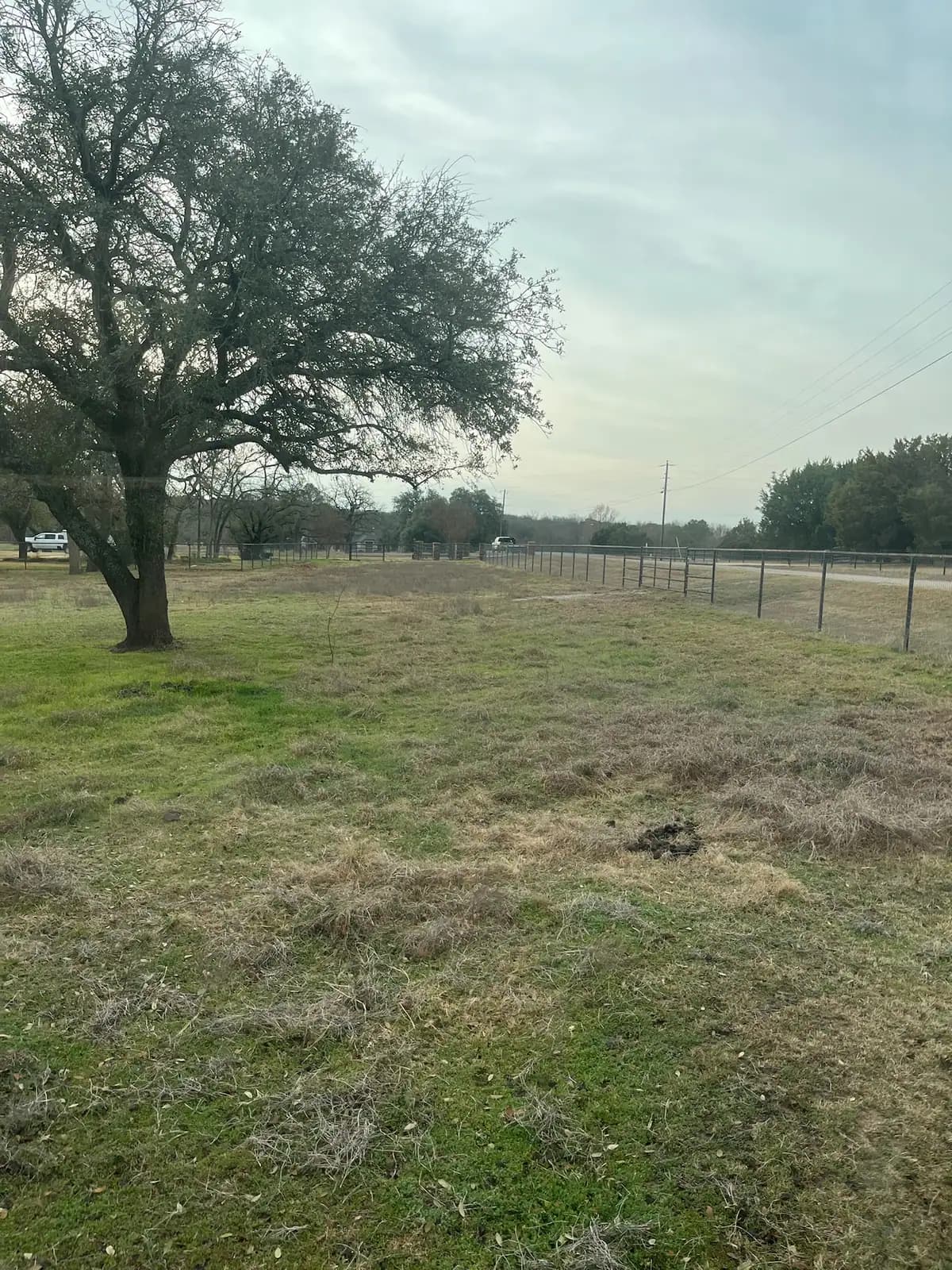 Brush hog mowing a pasture under mature oaks with a red tractor near Granbury, TX
