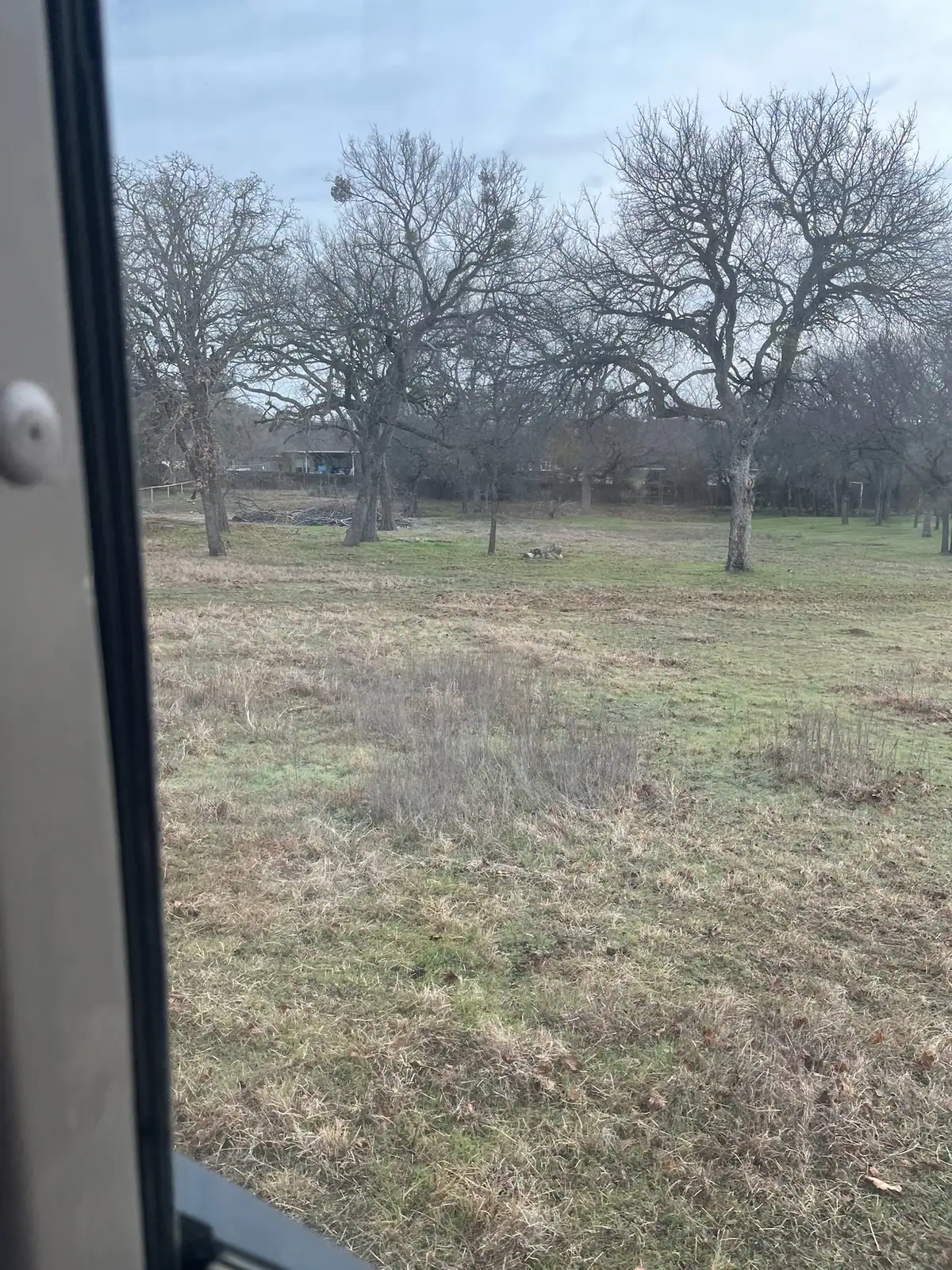 Brush hog mowing a pasture under mature oaks with a red tractor near Granbury, TX