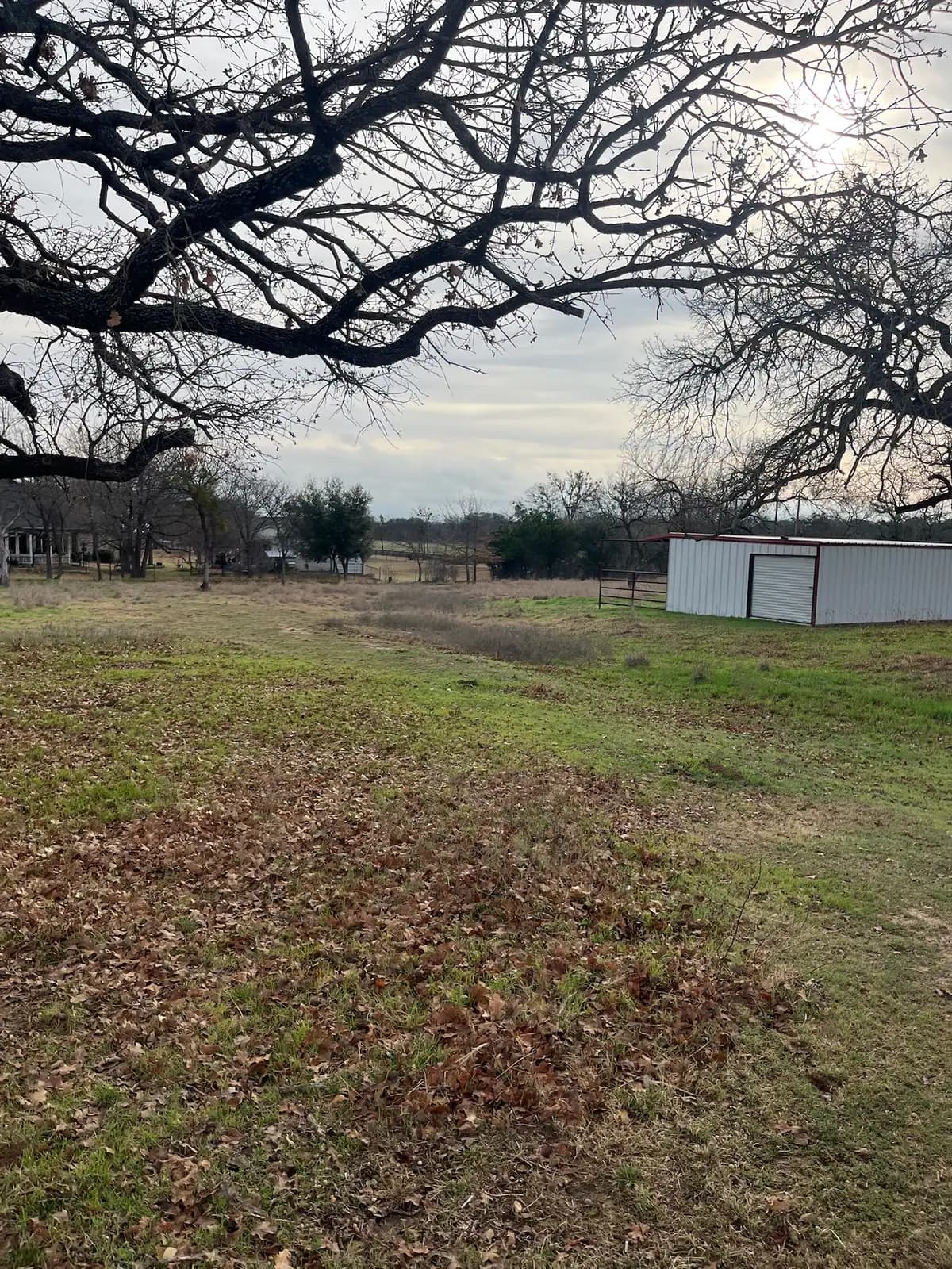 Brush hog mowing a pasture under mature oaks with a red tractor near Granbury, TX
