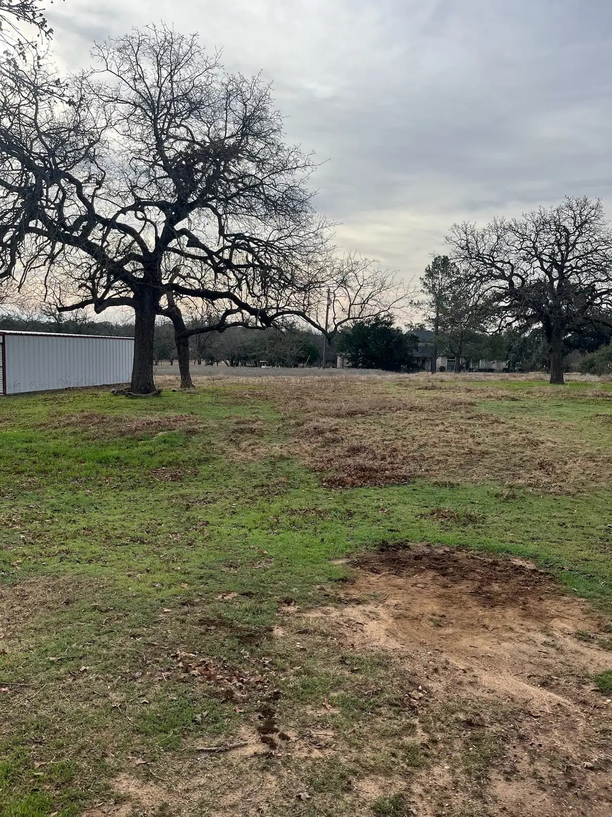 Brush hog mowing a pasture under mature oaks with a red tractor near Granbury, TX