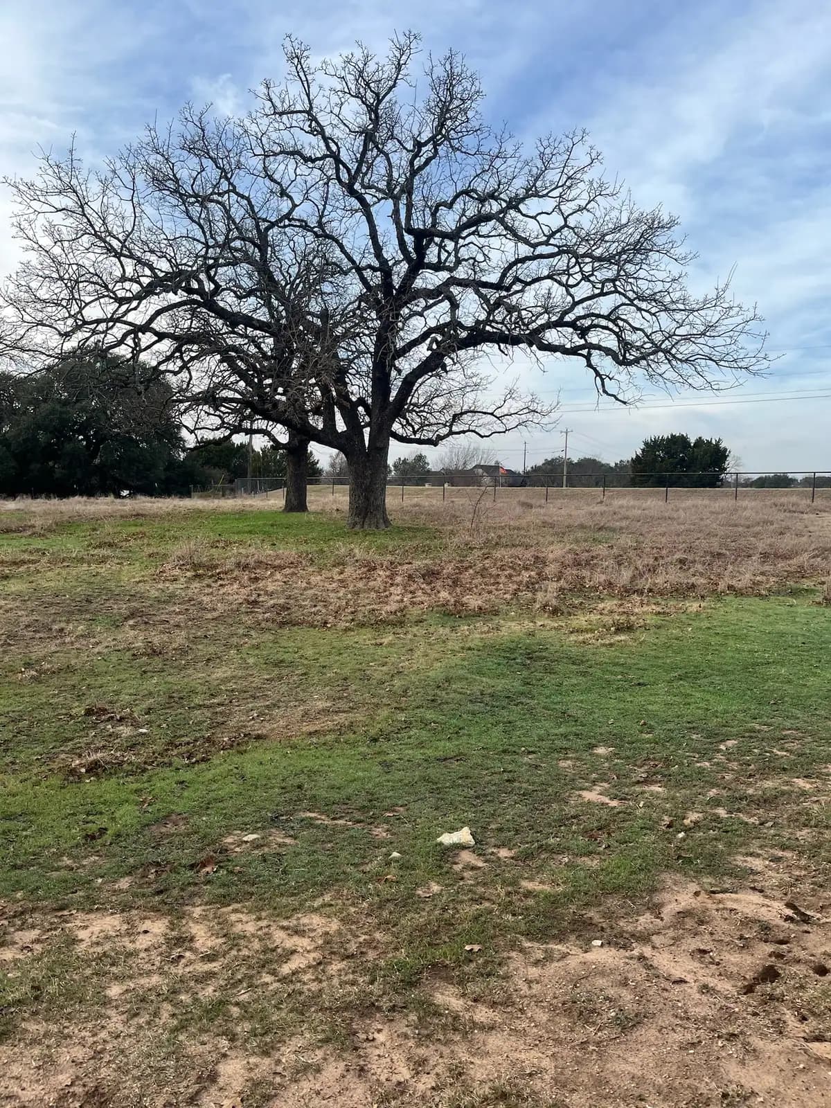 Brush hog mowing a pasture under mature oaks with a red tractor near Granbury, TX