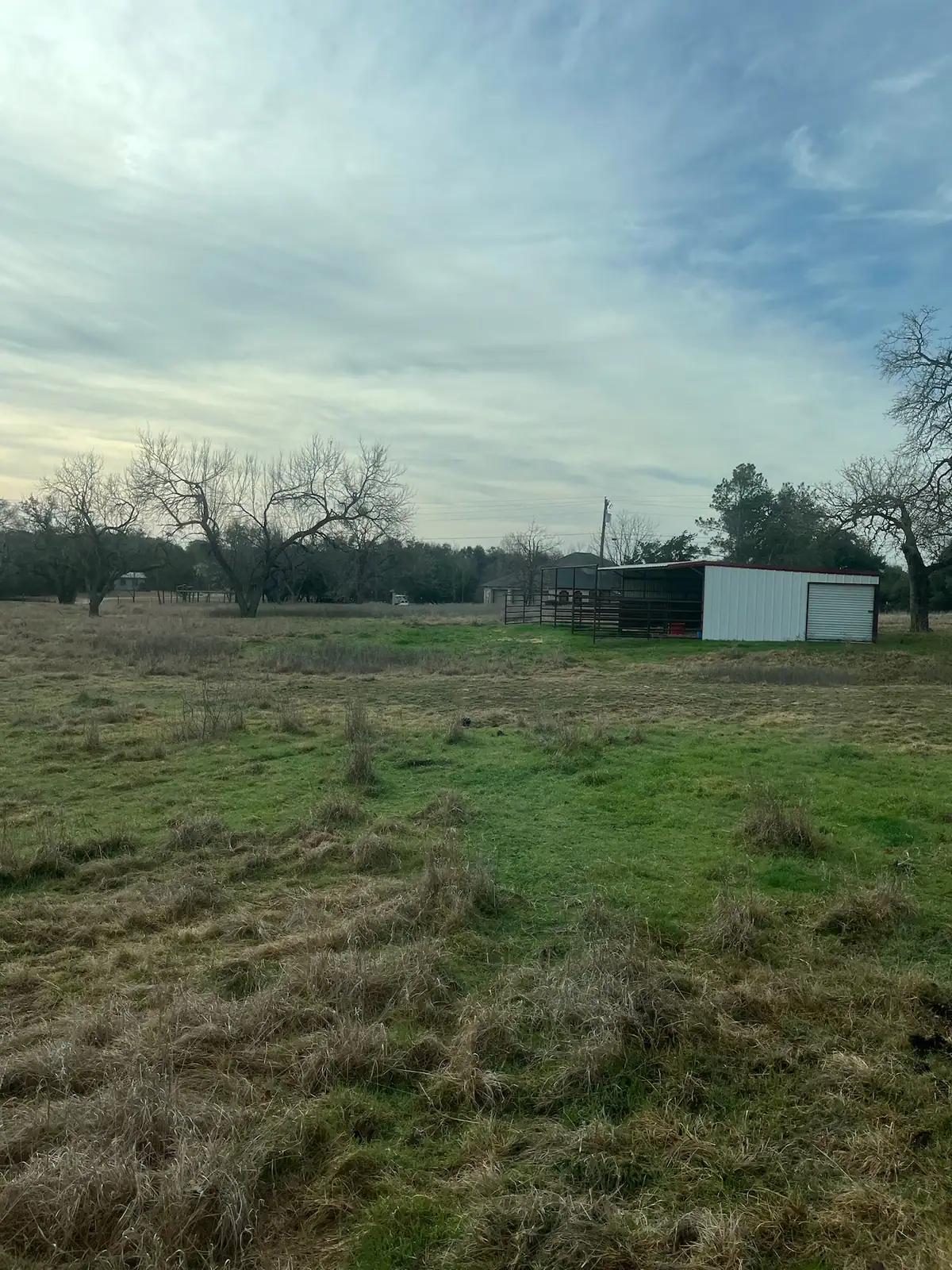 Brush hog mowing a pasture under mature oaks with a red tractor near Granbury, TX