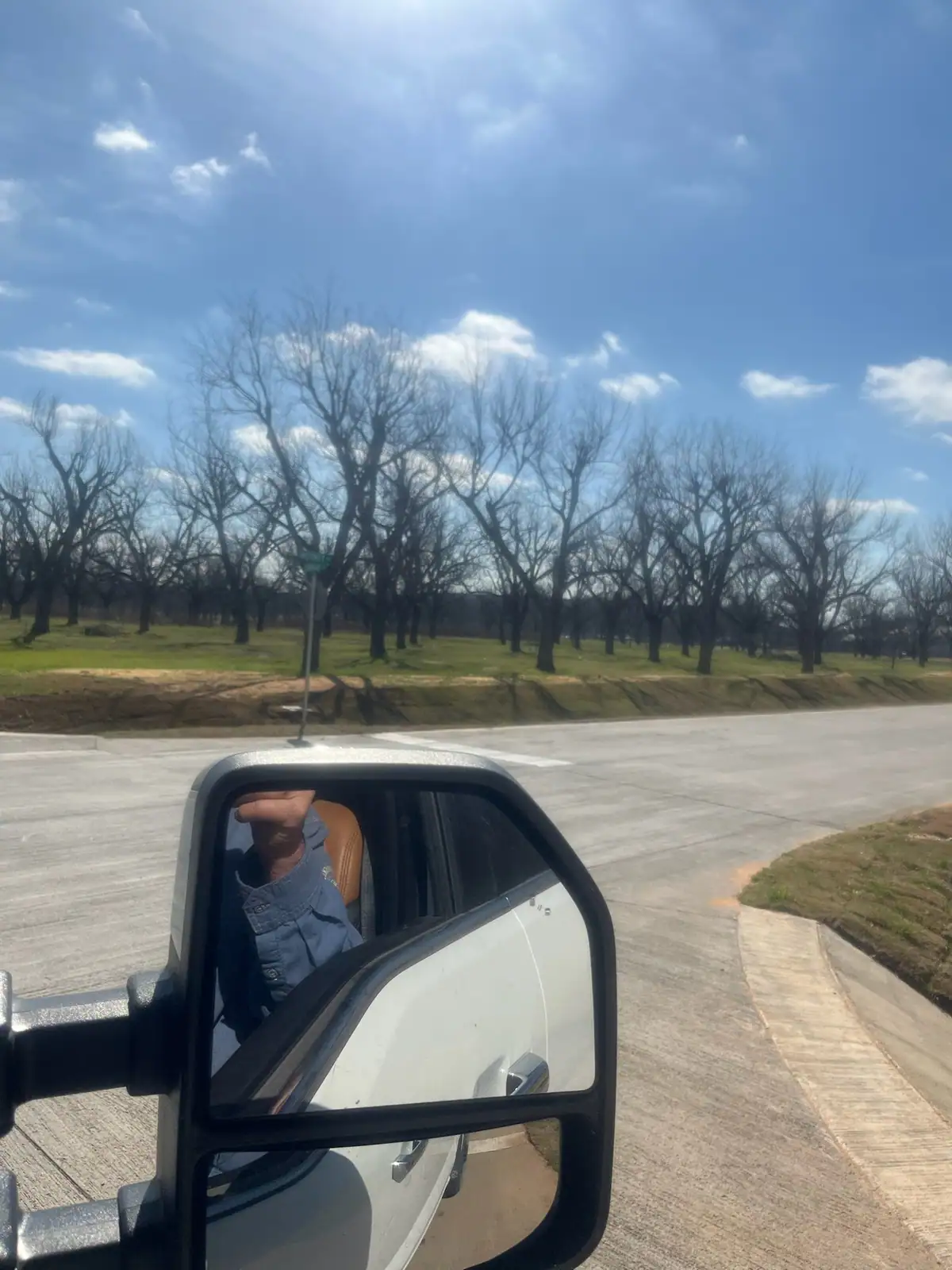 Driveway and road edge through a pecan orchard maintained by Black Knuckle Land Management near Granbury, TX
