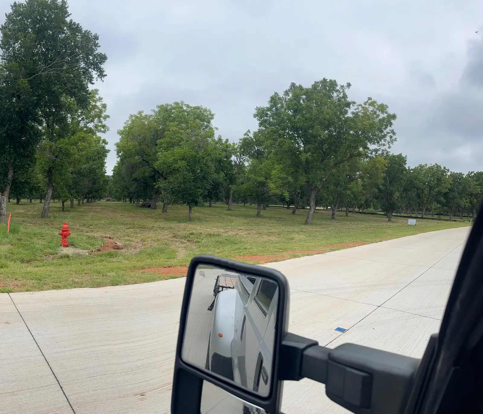 Driveway and road edge through a pecan orchard maintained by Black Knuckle Land Management near Granbury, TX