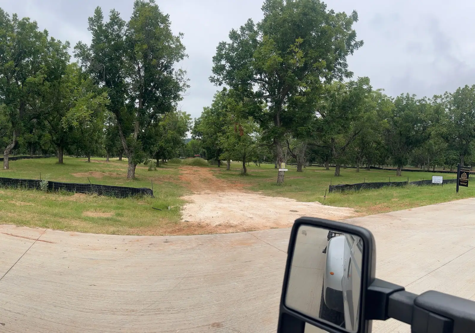 Driveway and road edge through a pecan orchard maintained by Black Knuckle Land Management near Granbury, TX