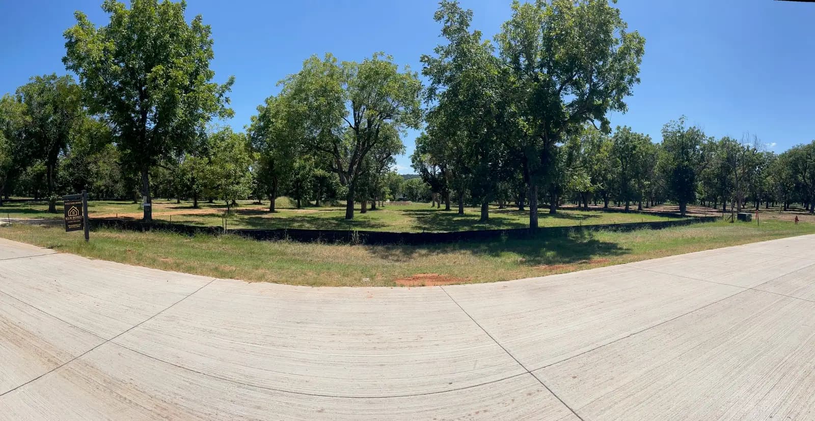 Driveway and road edge through a pecan orchard maintained by Black Knuckle Land Management near Granbury, TX