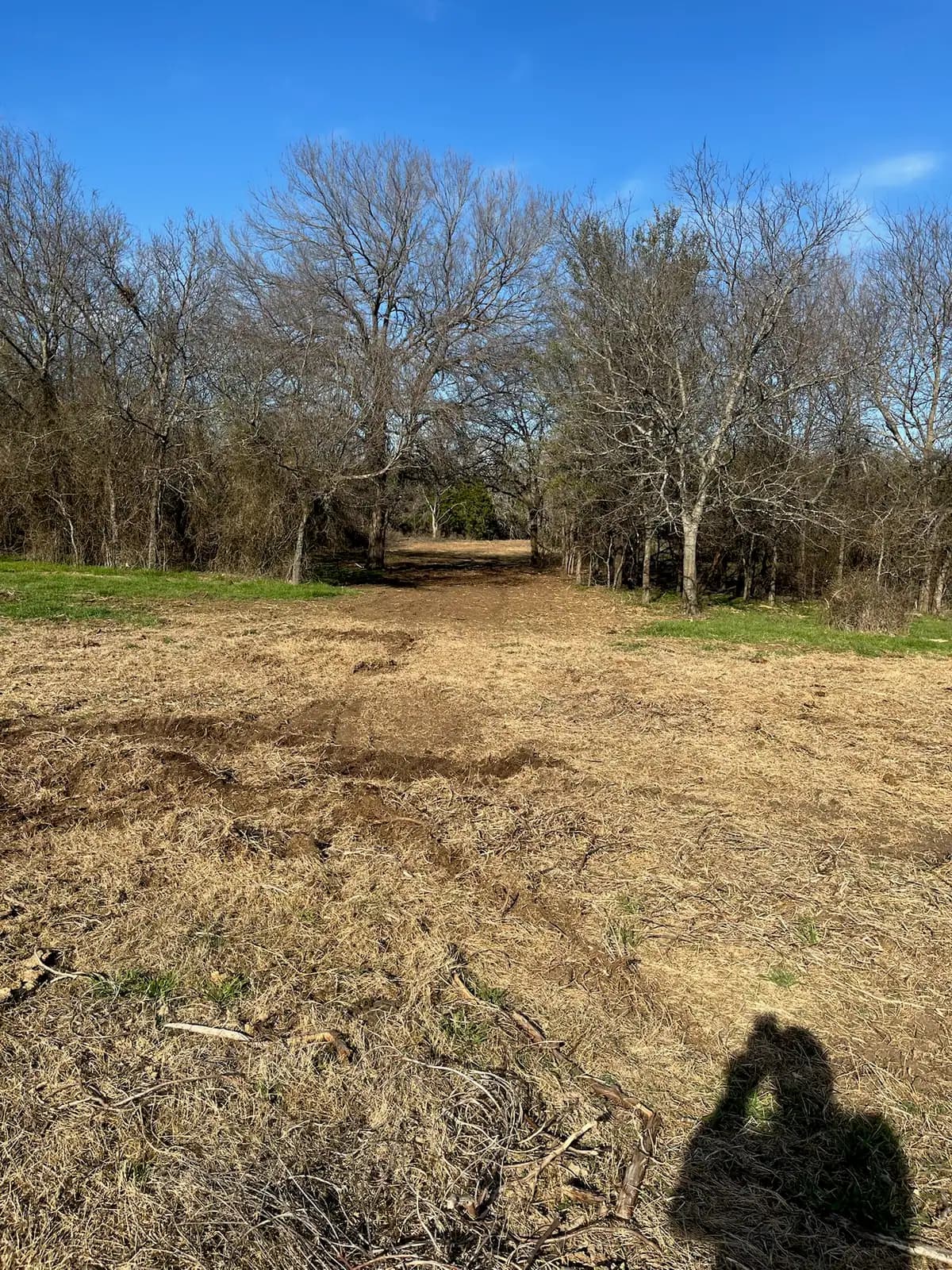 Trail cleared through the woods by forestry mulching near Granbury, TX