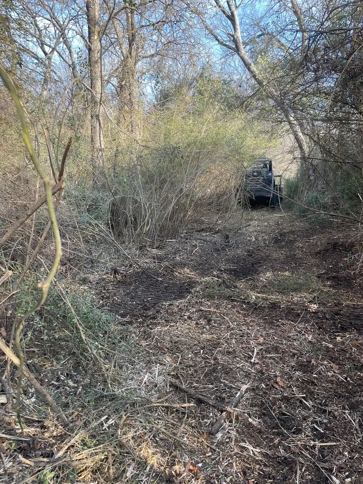 Dense cedar and brush before forestry mulching on a Hood County, TX property