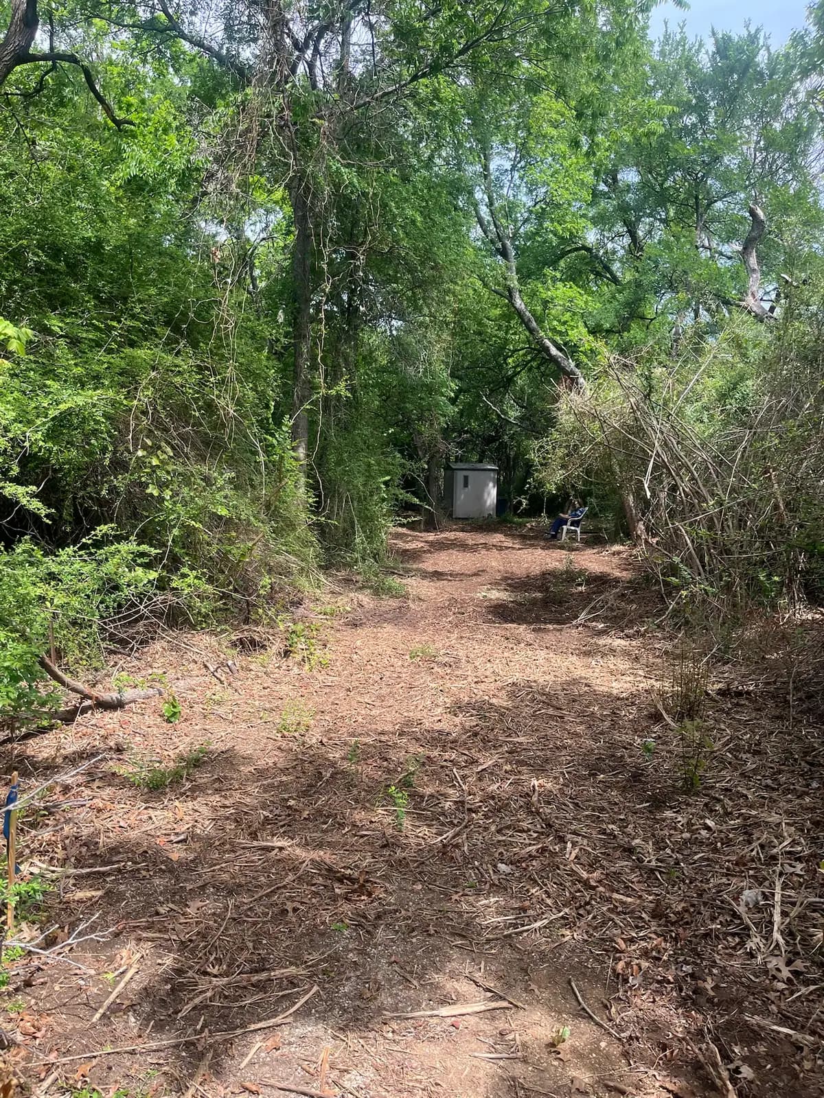 Summer forestry mulching results with fresh mulch on the ground in Hood County, TX