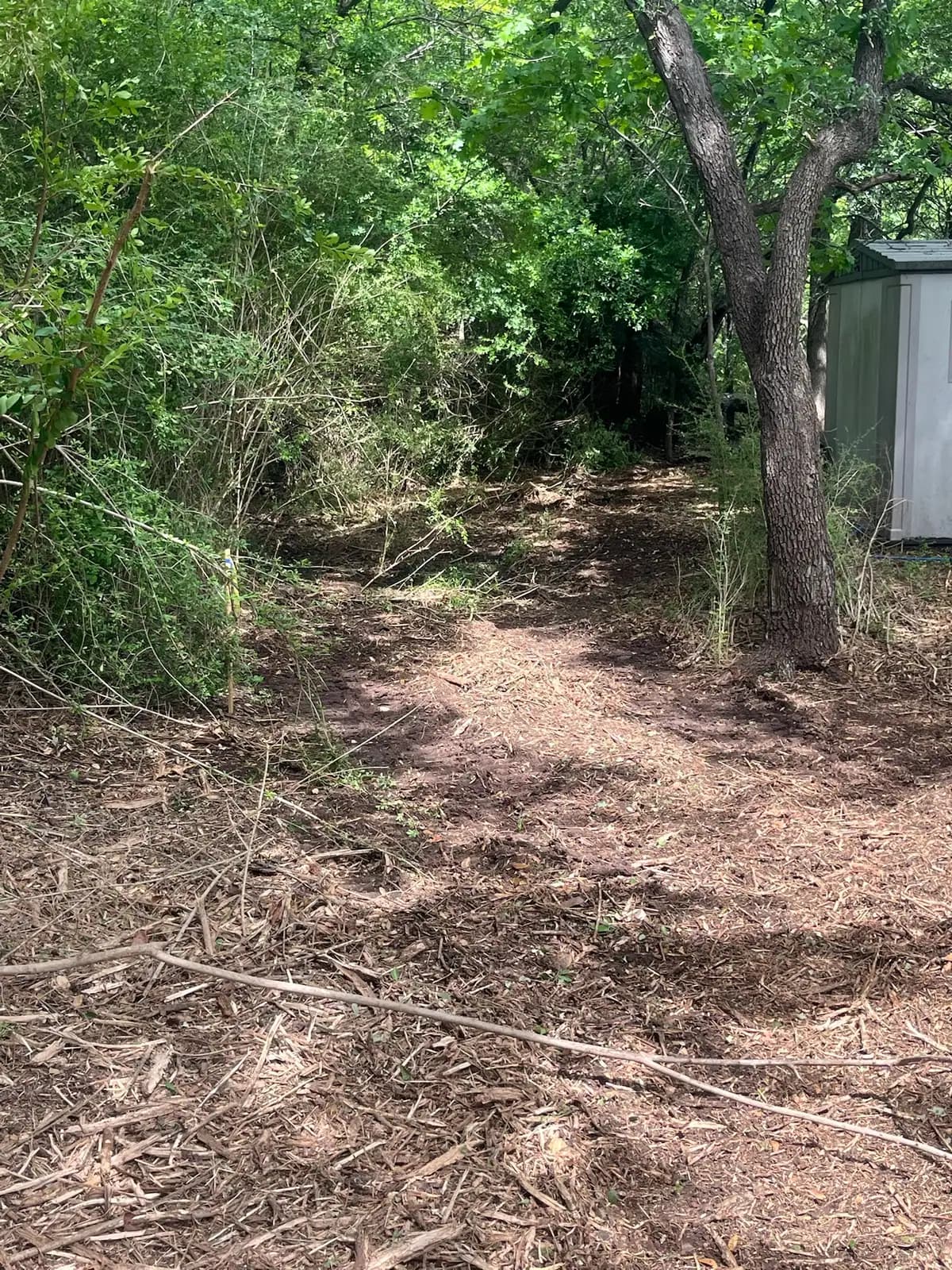 Summer forestry mulching results with fresh mulch on the ground in Hood County, TX