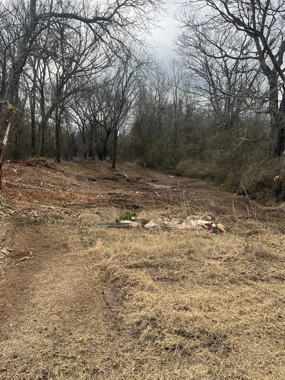 Stock pond banks cleared of brush and reshaped on a ranch near Granbury, TX