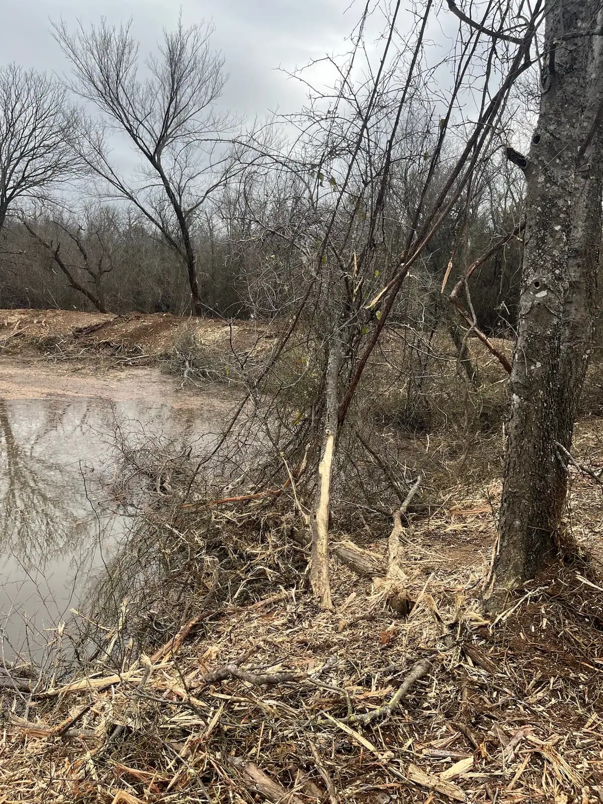 Stock pond banks cleared of brush and reshaped on a ranch near Granbury, TX