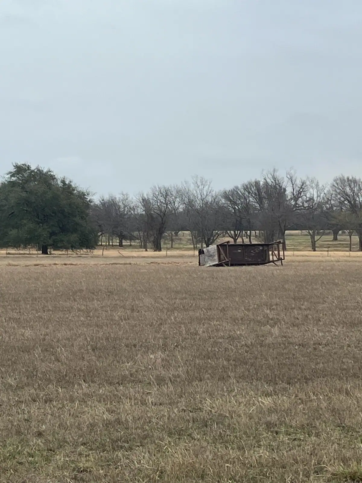 Black Knuckle Land Management truck and trailer hauling the skid steer to a land clearing job near Granbury, TX